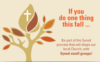 Synod Small Groups